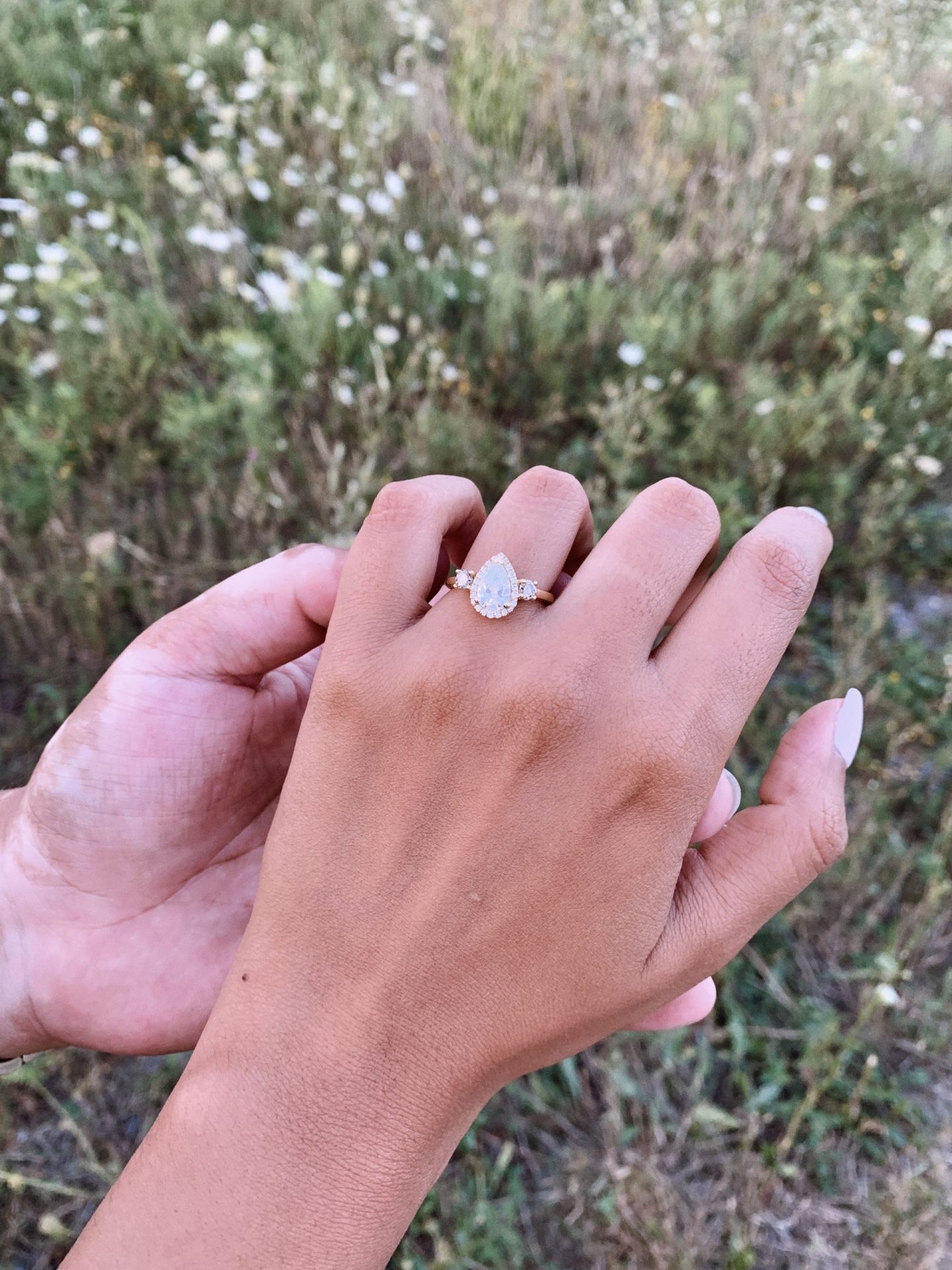 Adam and Ayla's engagement at the farm during covid